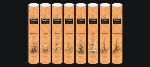 INCENSE TUBE WITH WOODEN HOLDER